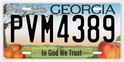 GA license plate PVM4389