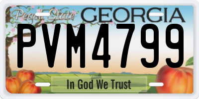 GA license plate PVM4799
