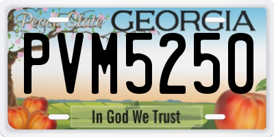 GA license plate PVM5250