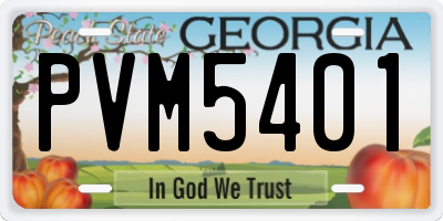 GA license plate PVM5401