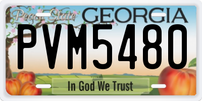 GA license plate PVM5480