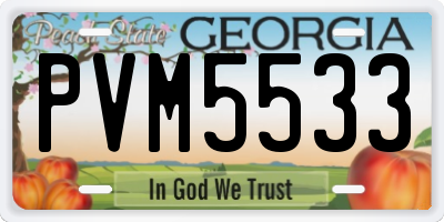 GA license plate PVM5533