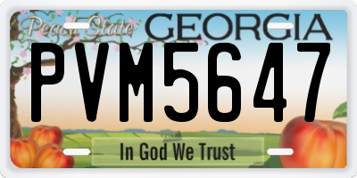 GA license plate PVM5647