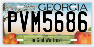 GA license plate PVM5686
