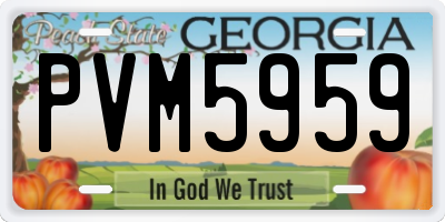 GA license plate PVM5959