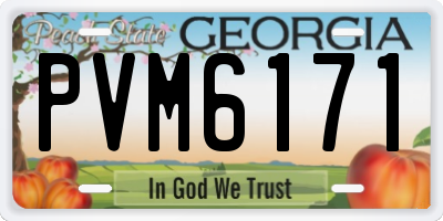 GA license plate PVM6171