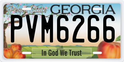 GA license plate PVM6266