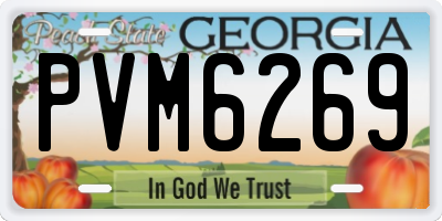 GA license plate PVM6269