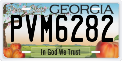 GA license plate PVM6282