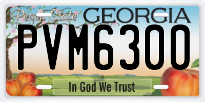 GA license plate PVM6300