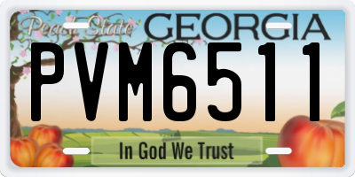 GA license plate PVM6511