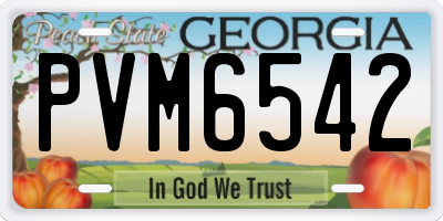 GA license plate PVM6542