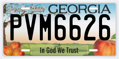 GA license plate PVM6626