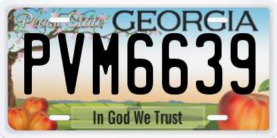 GA license plate PVM6639