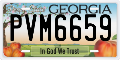 GA license plate PVM6659