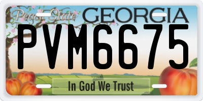 GA license plate PVM6675