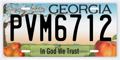GA license plate PVM6712