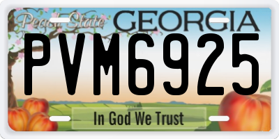 GA license plate PVM6925