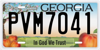 GA license plate PVM7041