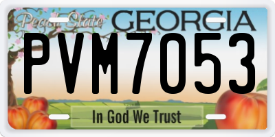 GA license plate PVM7053