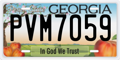 GA license plate PVM7059