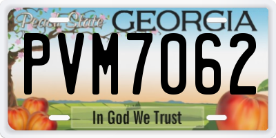 GA license plate PVM7062