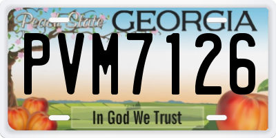 GA license plate PVM7126