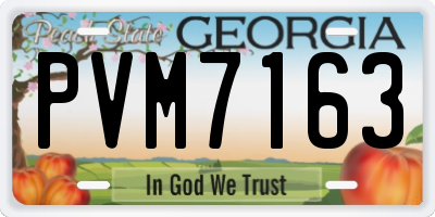 GA license plate PVM7163