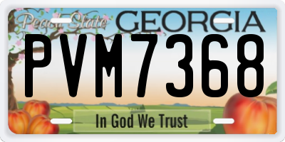 GA license plate PVM7368