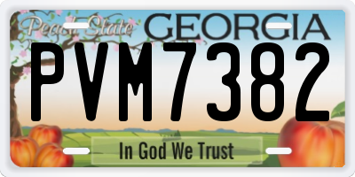 GA license plate PVM7382