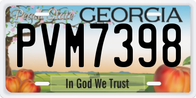 GA license plate PVM7398