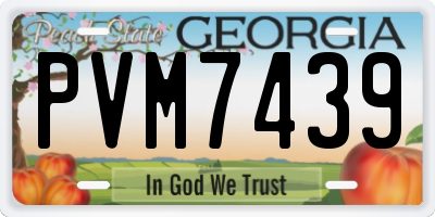 GA license plate PVM7439