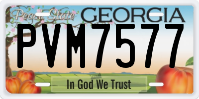 GA license plate PVM7577