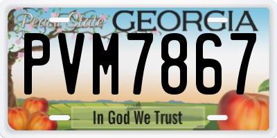 GA license plate PVM7867