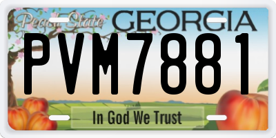 GA license plate PVM7881