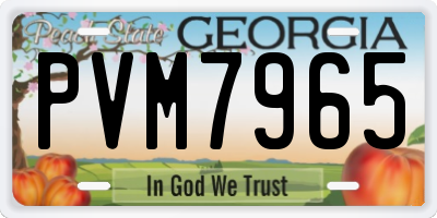 GA license plate PVM7965