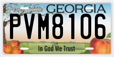 GA license plate PVM8106