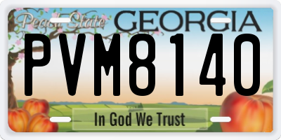 GA license plate PVM8140