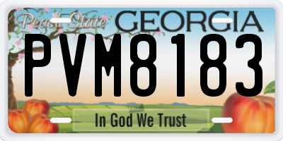 GA license plate PVM8183