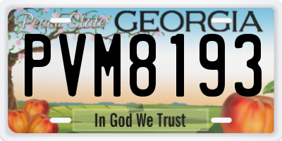 GA license plate PVM8193
