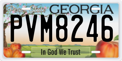 GA license plate PVM8246
