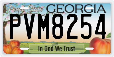 GA license plate PVM8254