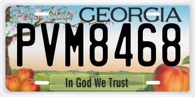 GA license plate PVM8468