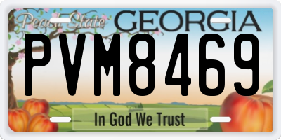 GA license plate PVM8469