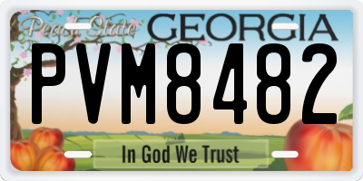 GA license plate PVM8482