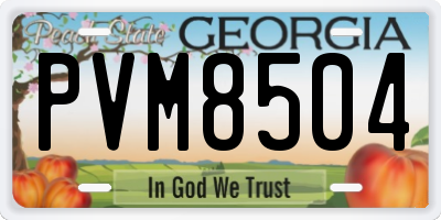 GA license plate PVM8504