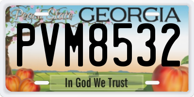 GA license plate PVM8532