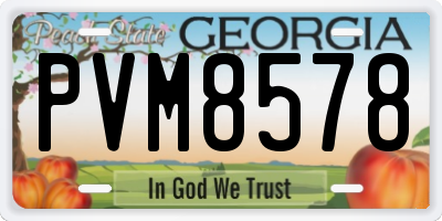 GA license plate PVM8578