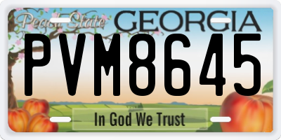 GA license plate PVM8645