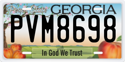 GA license plate PVM8698